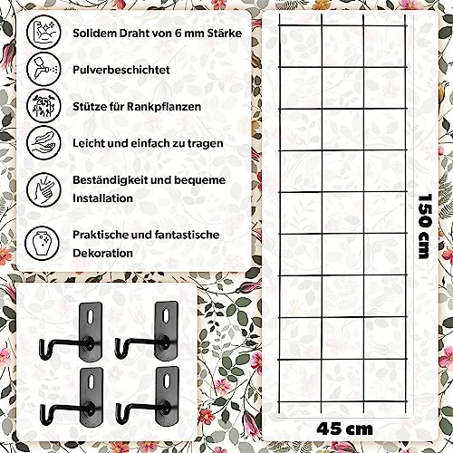 KADAX Rankgitter, Rankhilfe aus Stahl, Wandgitter für Pflanzen, Garten, Balkon, Terrasse, Drahtgitter, Kletterhilfe, Pflanzengitter, Spalier, wandbefestigung, schwarz (45 x 150 cm)
