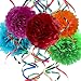 25 Piece Party Decorations Set - Tissue Paper Flowers + Plastic Swirls Bundle - Party Streamers - Tissue Paper Pom Poms - Multi-Color