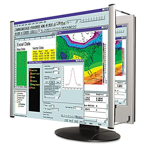 Kantek MAXVIEW LCD Monitor Magnifier for 19-Inch and 20-Inch Widescreen Monitors (Measured Diagonally) (MAG19WL)