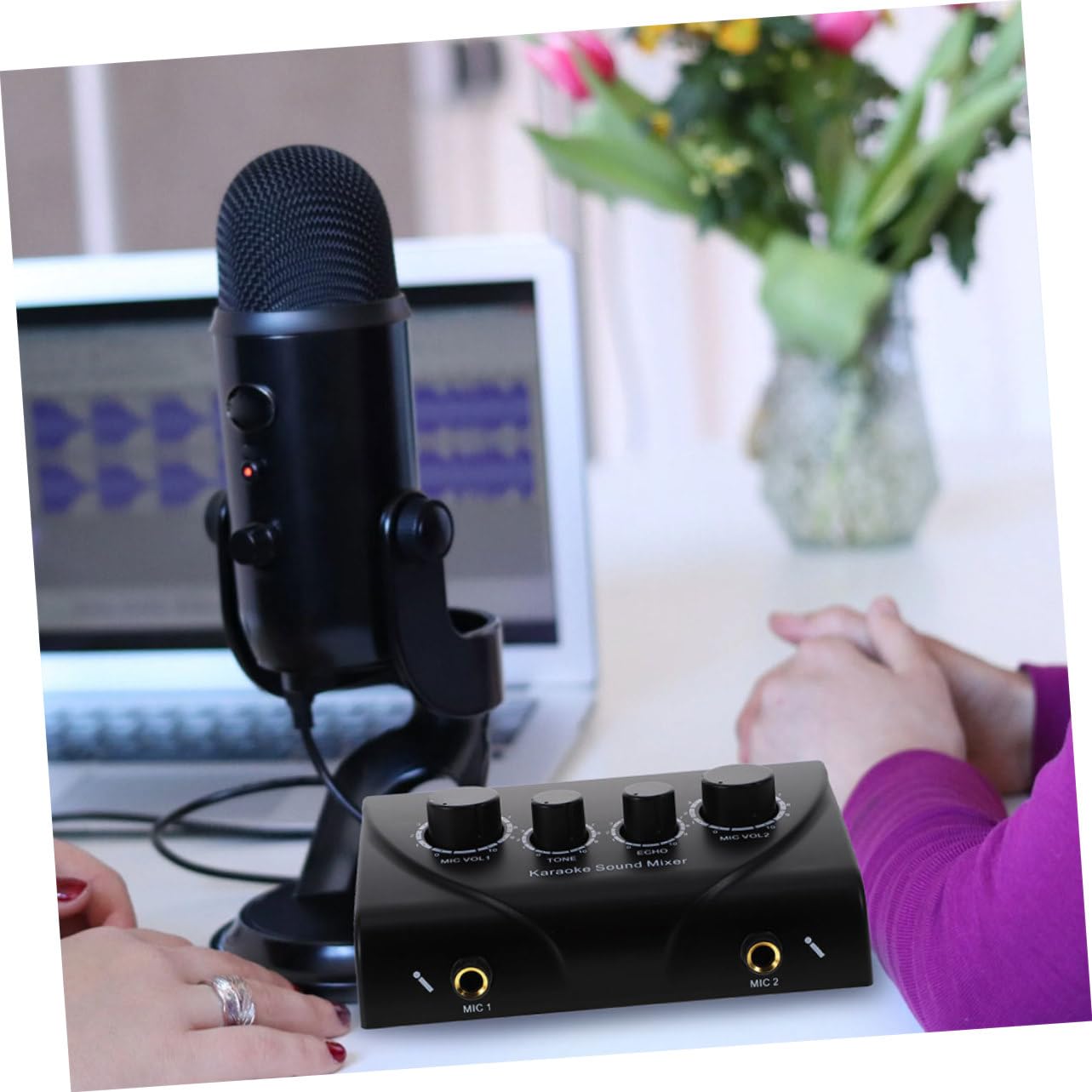 Mixer Audio Professionale per Karaoke con Doppio Ingresso Microfono | Regolazione Separata del Volume Microfono, con Cavo e Adattatore di Alimentazione