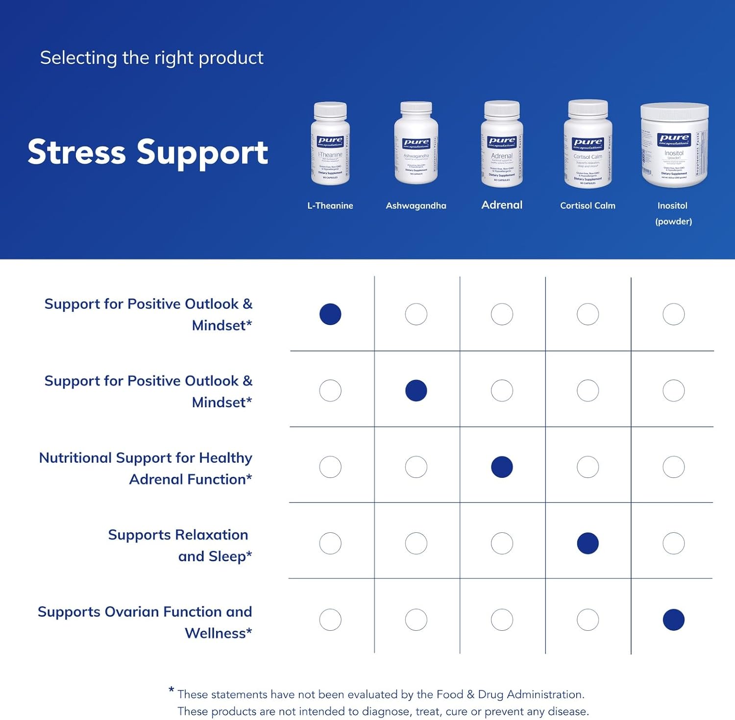 Pure Encapsulations L-Theanine - Amino Acid Supplement to Support Relaxation, Stress & Nervous System - 60 Capsules - Image 6