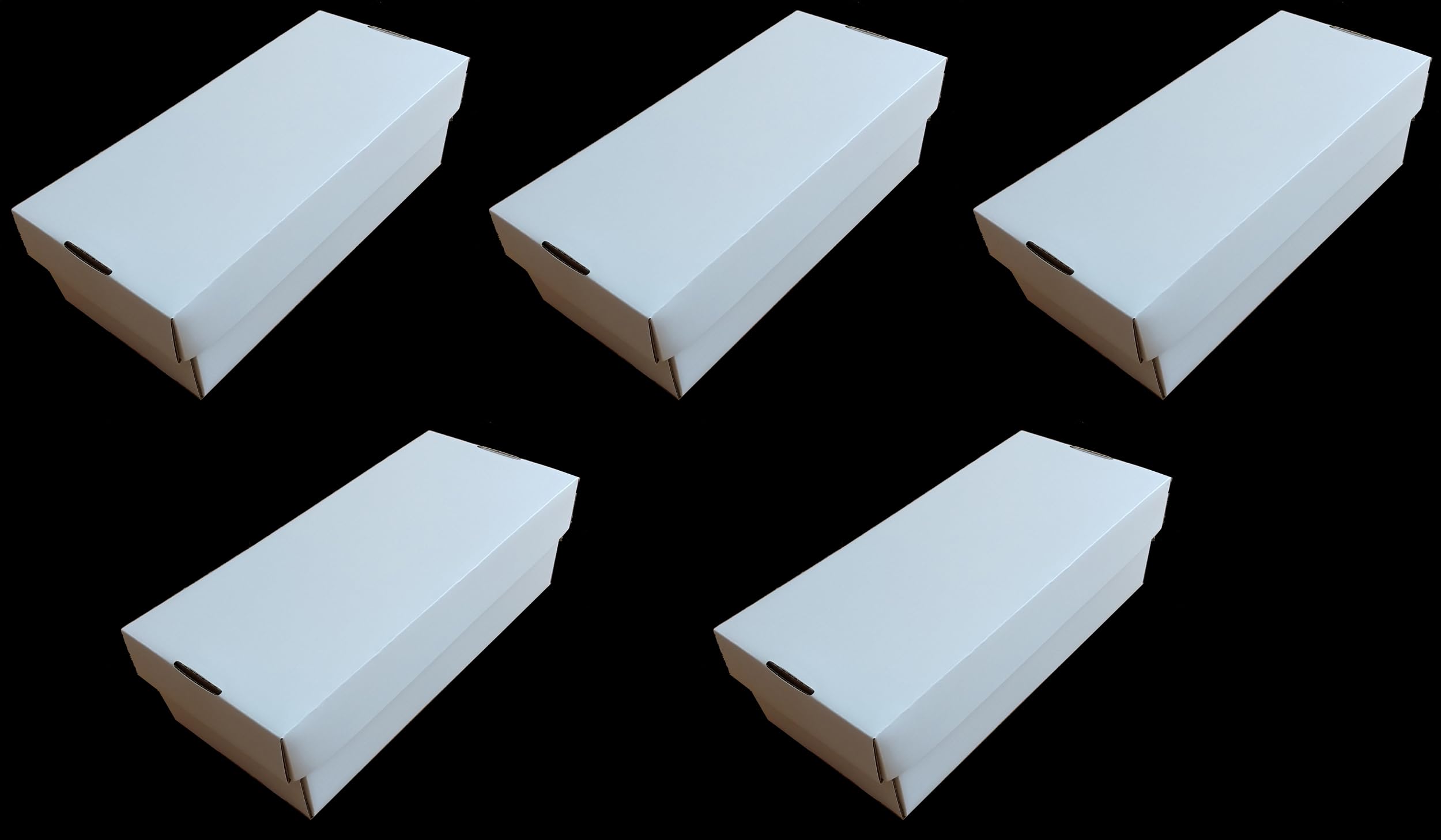 docsmagic.de 5x 2-Row Trading Card Storage Box - Holding 2500 Standard Size Cards — image 1
