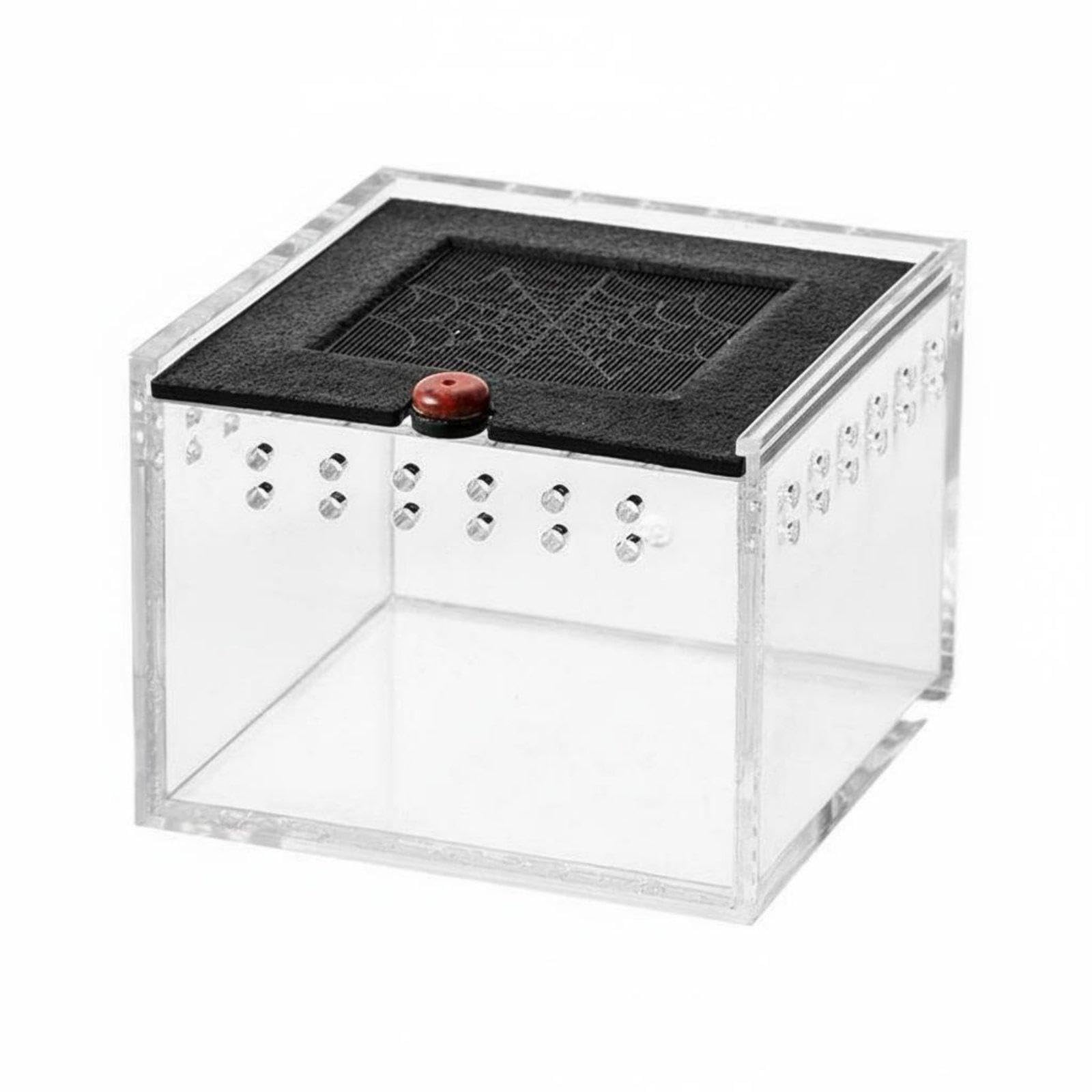 Acrylic Reptile Habitat Ventilated Design Transparent Arachnid Enclosure Secure Reptile Feeding Box for Hobbyists, Beginners, Desktop, Display Transparent|Pet Supplies|Reptile Supplies-picture-28