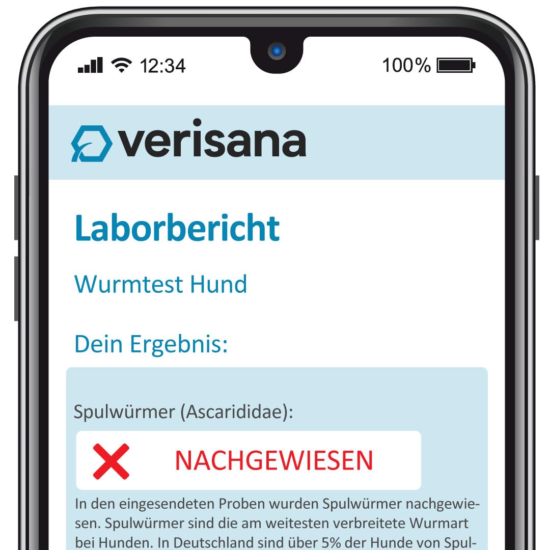 Verisana | Wurmtest Hund Plus | Umfassende Parasitenprüfung | Schützen Sie Ihren Hund vor Lungenwürmern, Giardien und mehr | Einfache Probenentnahme zu Hause