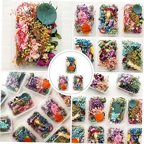 Flores Secas MAGICLULU para Decoración y Manualidades miniatura 6