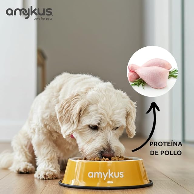 Foto 5 de 6 de Amykus Mini Adult 3 kg