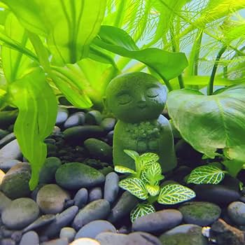 Amazon.co.jp: 癒しのお地蔵さん 置物 みかげ石 かわいい 御影石のお Amazon.co.jp: 癒しのお地蔵さん 置物 みかげ石 かわいい 御影石のお