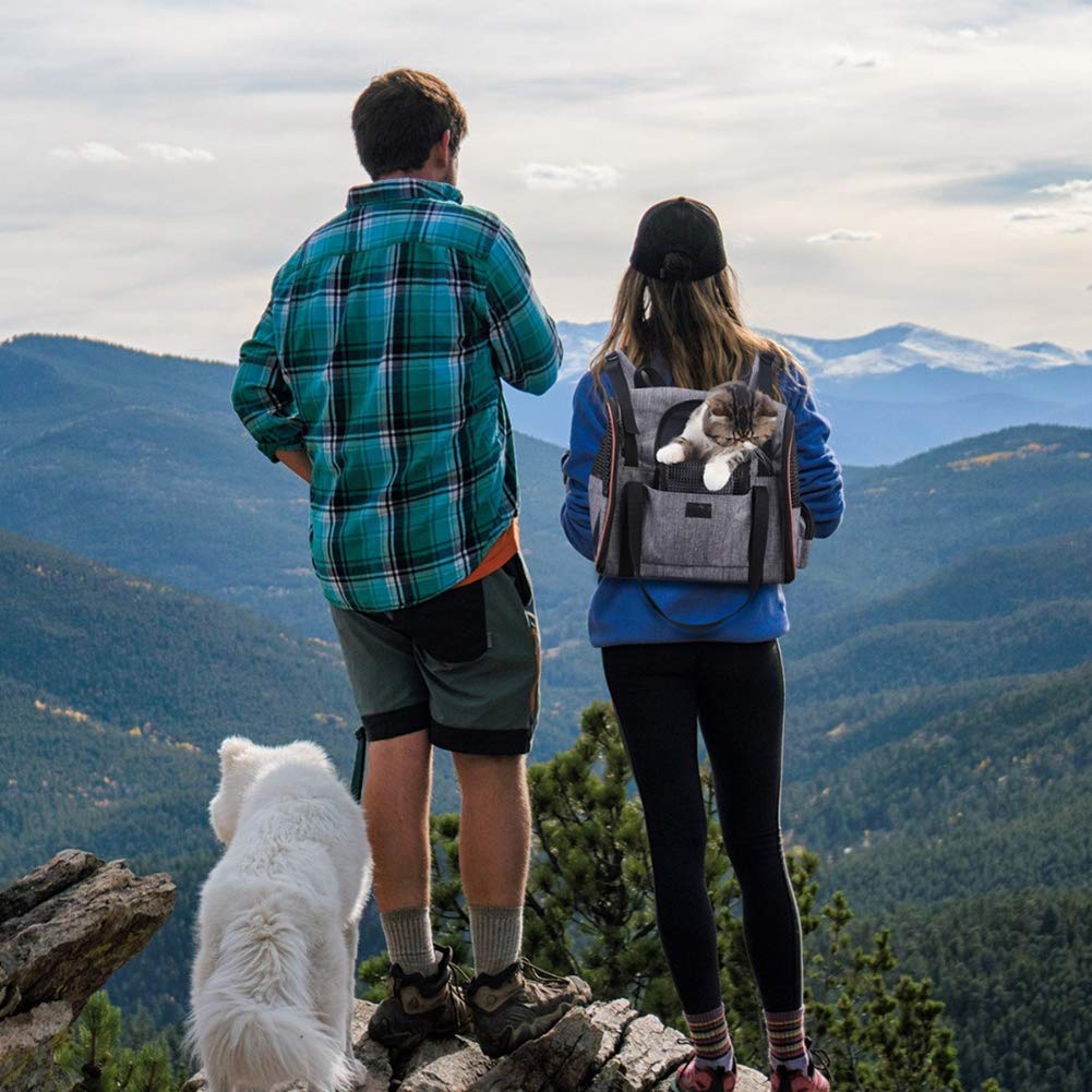 Mochila de Transporte para el pequeño Perro del Gato, Bolso Plegable Lavable Plegable para el avión de Viaje Tren Tren Avión homologado