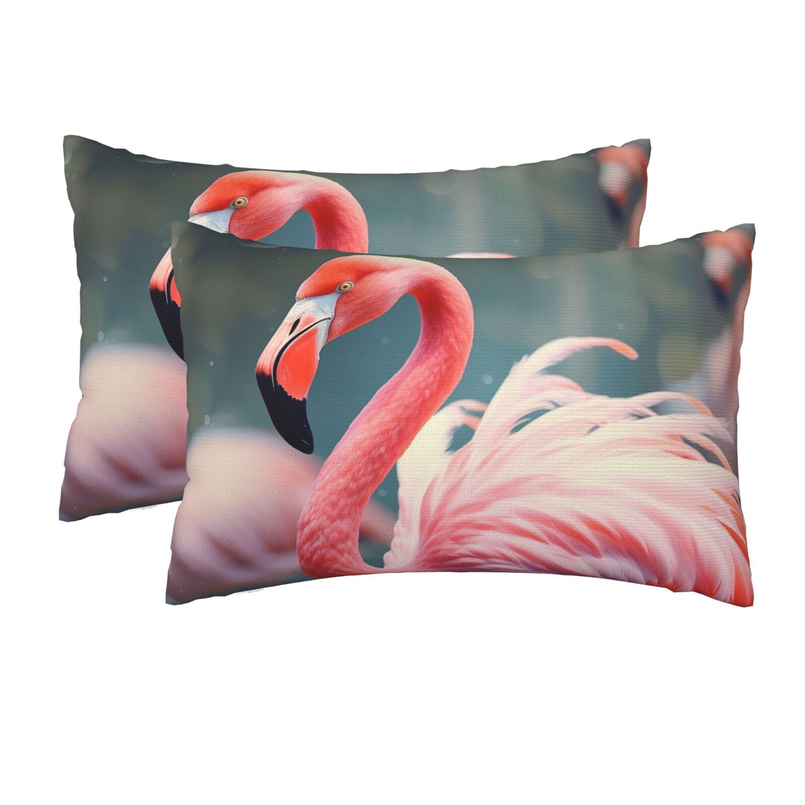 2 Pack Queen Size Pillow Cases for Hair and Skin Soft Breathable Pillow Case Covers with Hidden Zipper Pink Flamingo Pillowcase 20x30 Inches Pillow Cover for Sleeping Gift