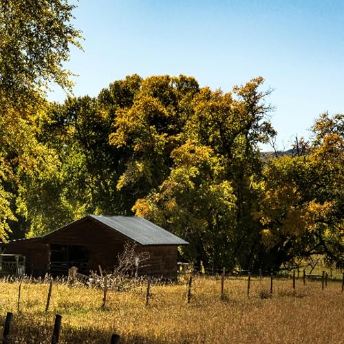 Is the "Woke Right" Really Woke? | OnlySubs with James Lindsay, Ep. 142 Podcast Por  arte de portada