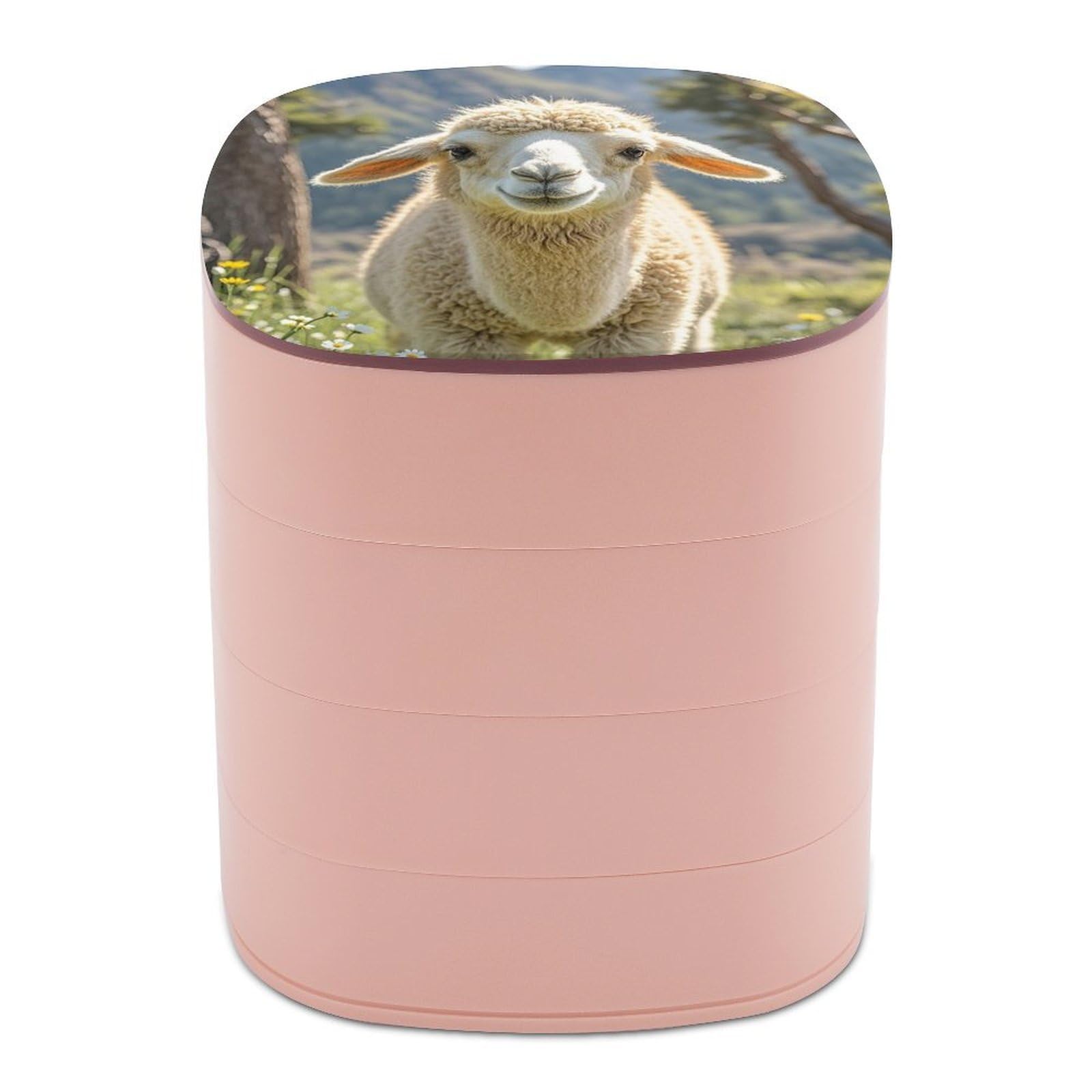 FekiLoot Rotating Lamb Jewelry Box Large Capacity Jewelry Organizer with Mirror 4 Tier Hoop Ring And Earring Holder With Lid Small Travel Jewelry Case for Women