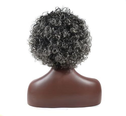 Miniatura 2 de Aubatece Peluca de encaje sintético para hombre y mujer, con rizos primaverales Sprial (gris, talla única)