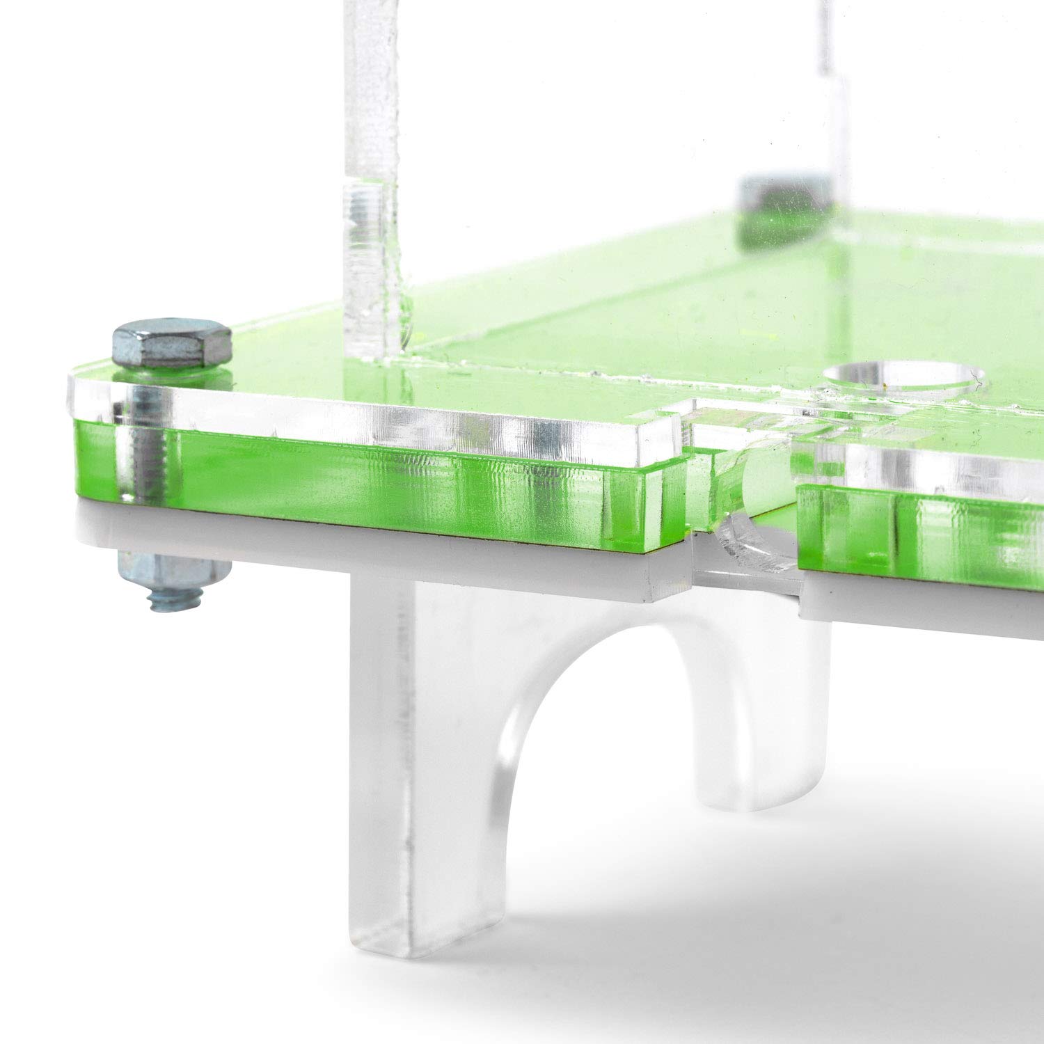 AntHouse - Formicaio Acrilico NaturColor 20x10x1cm - con Sistema di umidità Fungo (Formiche Incluse) - Verde