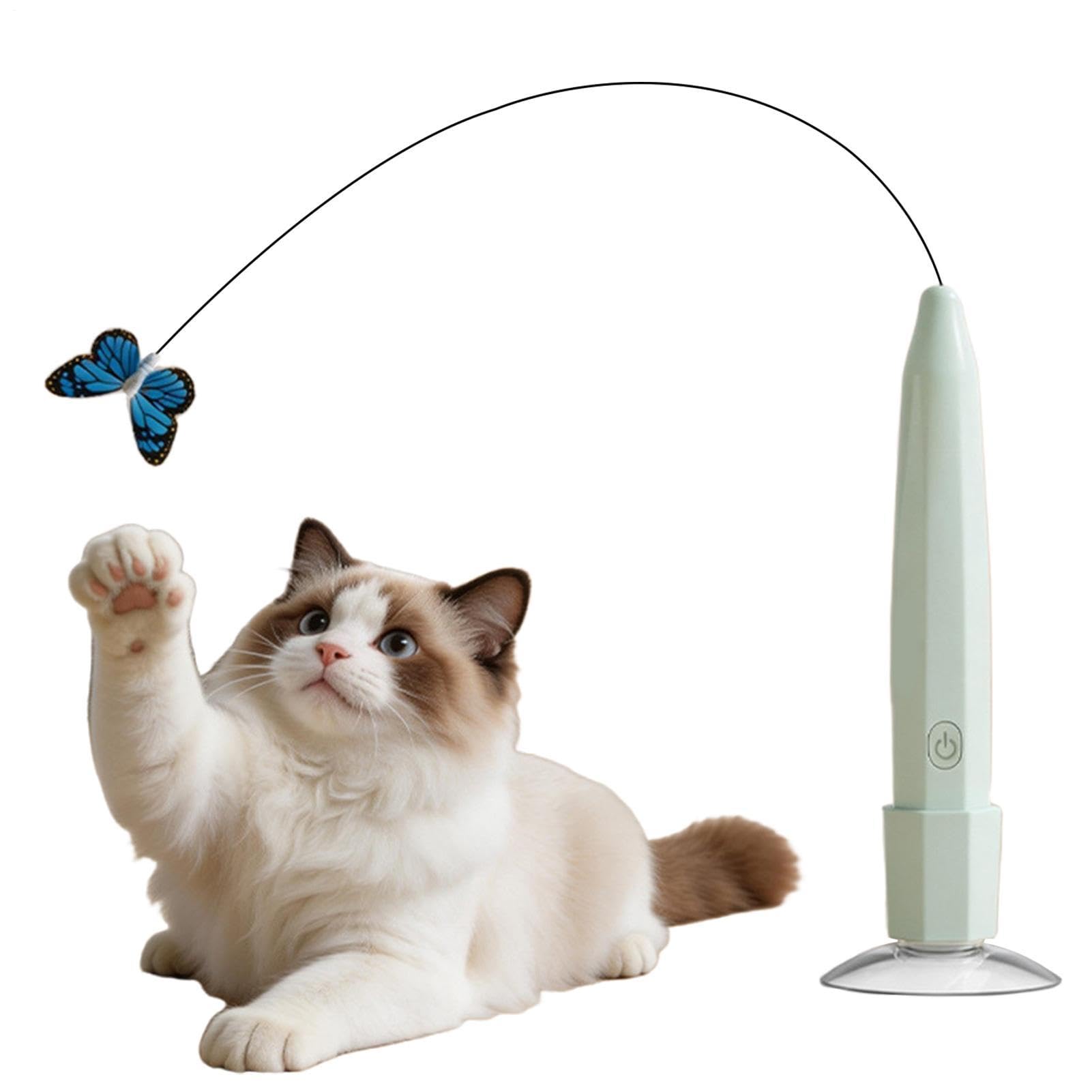 Jouet interactif chat automatique rechargeable pour la stimulation et contre l'ennui