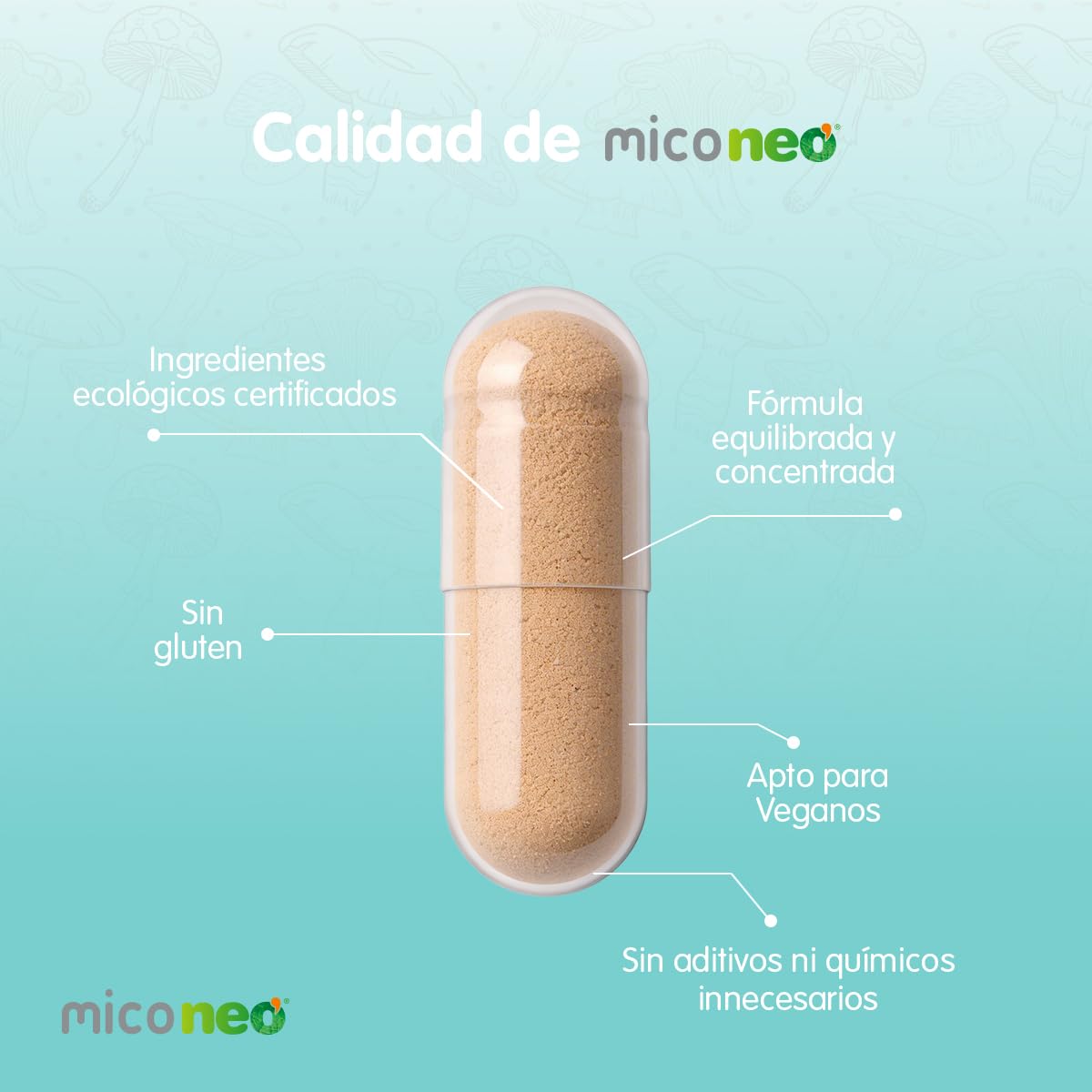 MICO NEO - Complemento Alimenticio con Melena de León y Saccharomyces Boulardi - Probiótico Natural para Afecciones Intestinales