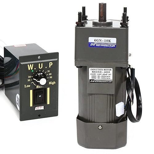 Motor de alto par de CA, motor eléctrico monofásico de 250 W, motor reversible con control ajustable de velocidad variable Gobernador, motor