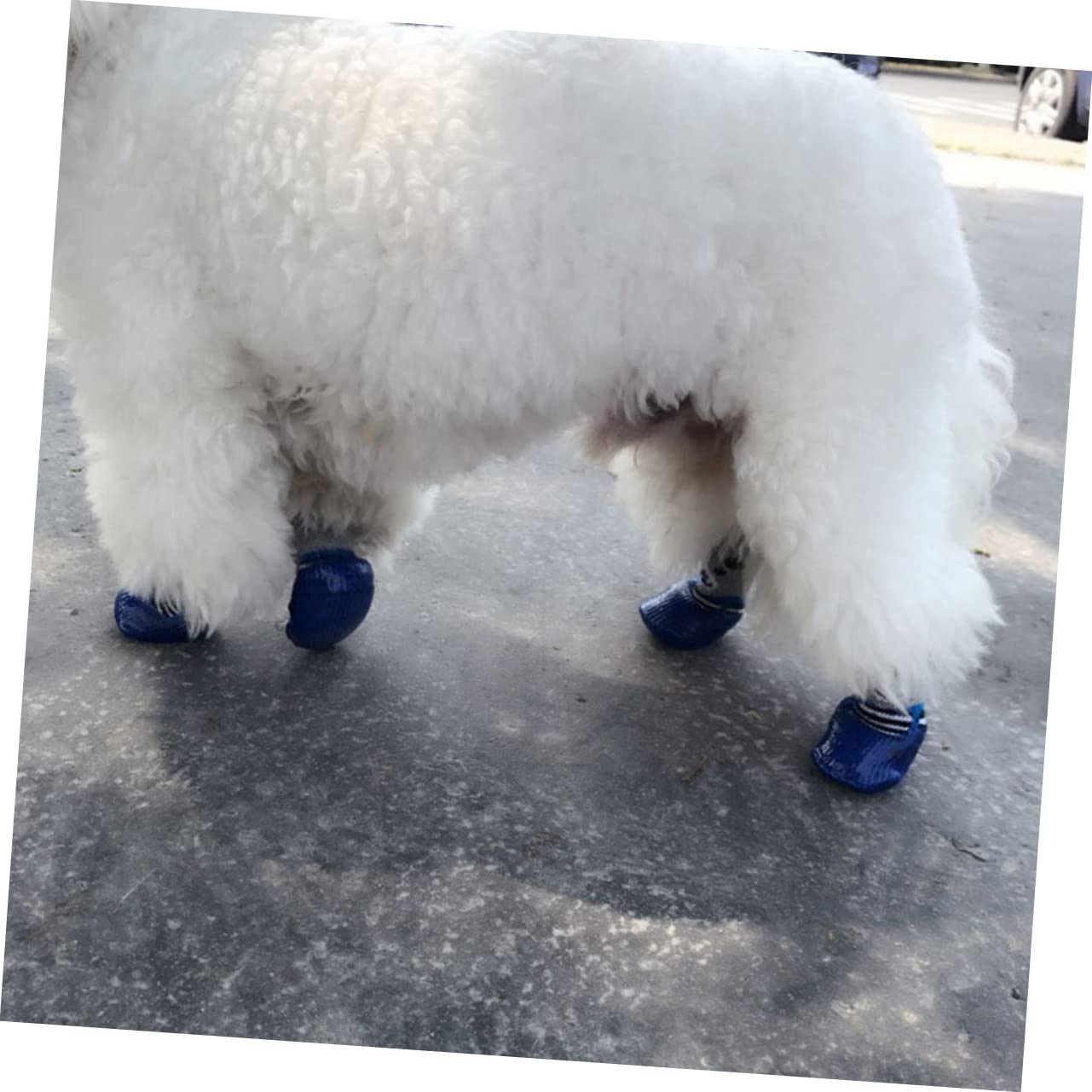 Hohopeti 4pcs Dog Puppy Cat Waterproof Socks Non-Slip for Hot Pavement Pet Socks with Cartoon Prints Size l