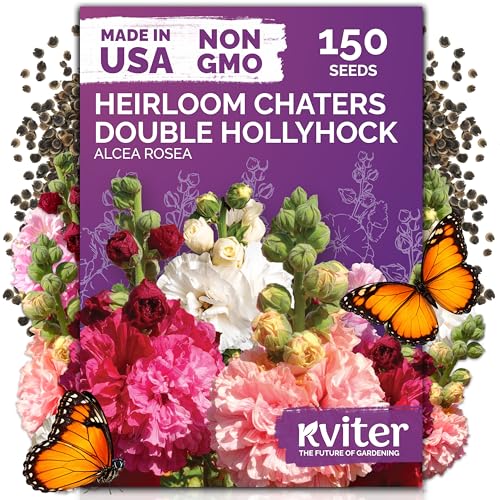 KVITER 150 Chaters Hollyhock Seeds for Planting (Alcea rosea) - Heirloom | Tall Blooms | Pollinator Magnet - Double Hollyhocks Flower Seeds to Plant Outside in Garden Cottage Borders Containers