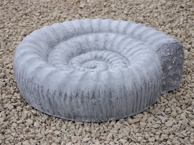 jetzt stark reduziert: Gartendeko - VOGELBAD AMMONITO - betongrau 46x42x14