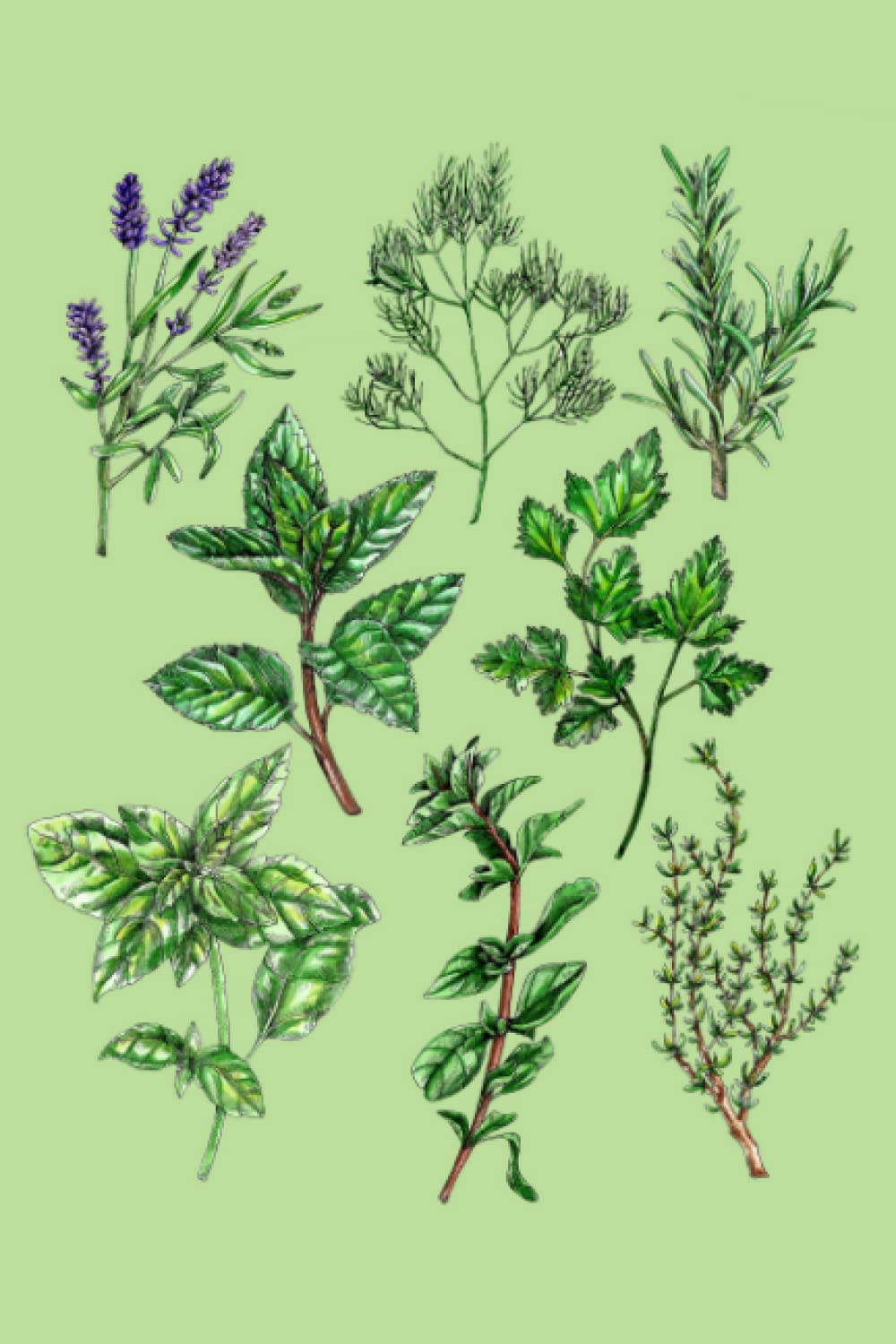 Kräuter: Notizbuch (120 Seiten, 15x23cm, gepunktet) Dotted Bullet Grid Tagebuch Journal