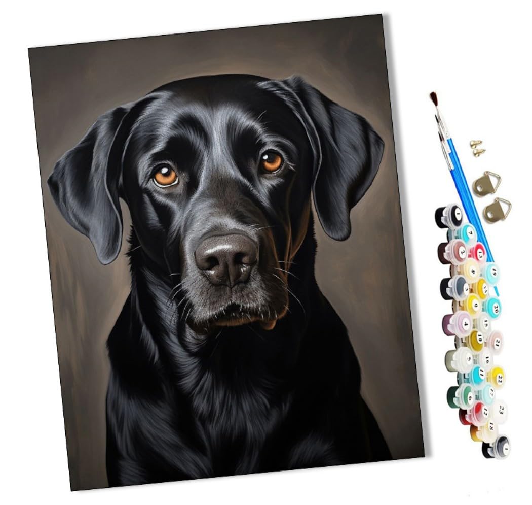 Wmzpoy Black Diy Paint By Numbers Labrador Dog，Pet (1) With Paint Brushes And Acrylic Painting Kit 16X20 Inch For Kids And Adults Beginner Gifts-Frameless