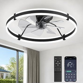 Fanbulous 24" Modern Low Profile Ceiling Fans with Lights and Remote, Black