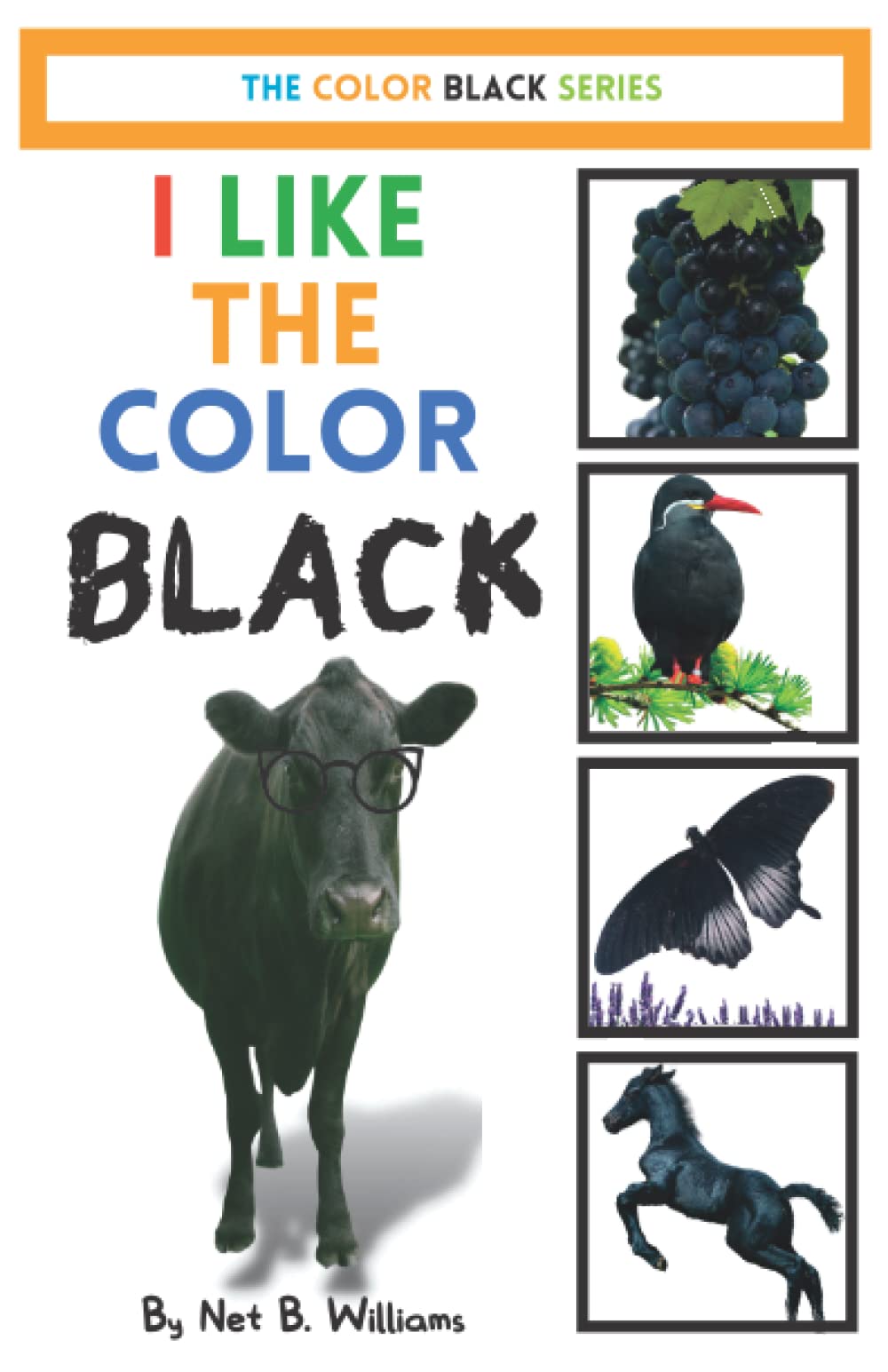 I Like the Color Black