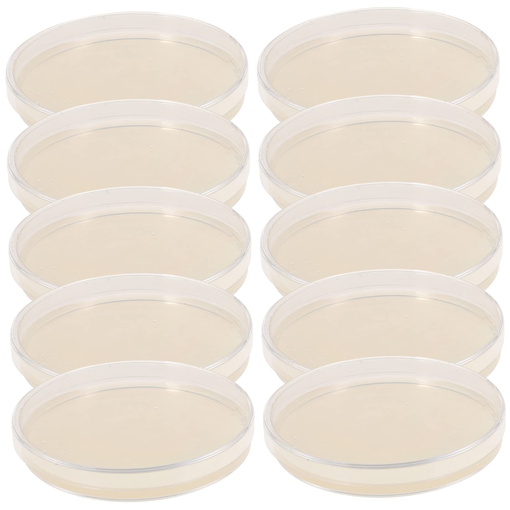 Zerodeko Set Da 10 Piastre Di Petri Agar Pre-versate 9 Cm, Piastre Di Agar Nutritivo Per Esperimenti Scientifici, Forniture Di Laboratorio Per Progetti Educativi e Analisi Microbiologiche