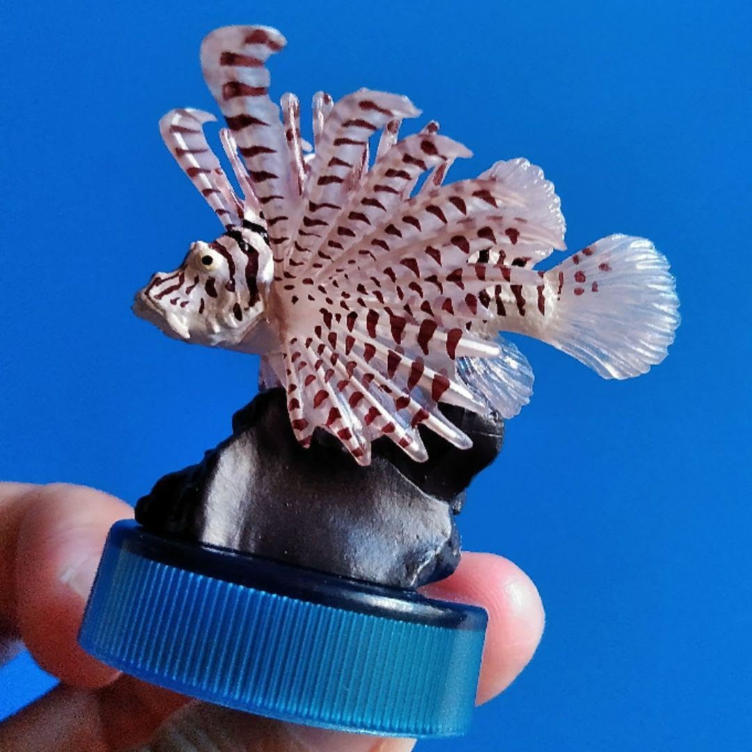 Amazon.co.jp: フィギア 魚 ミノカサゴ : おもちゃ