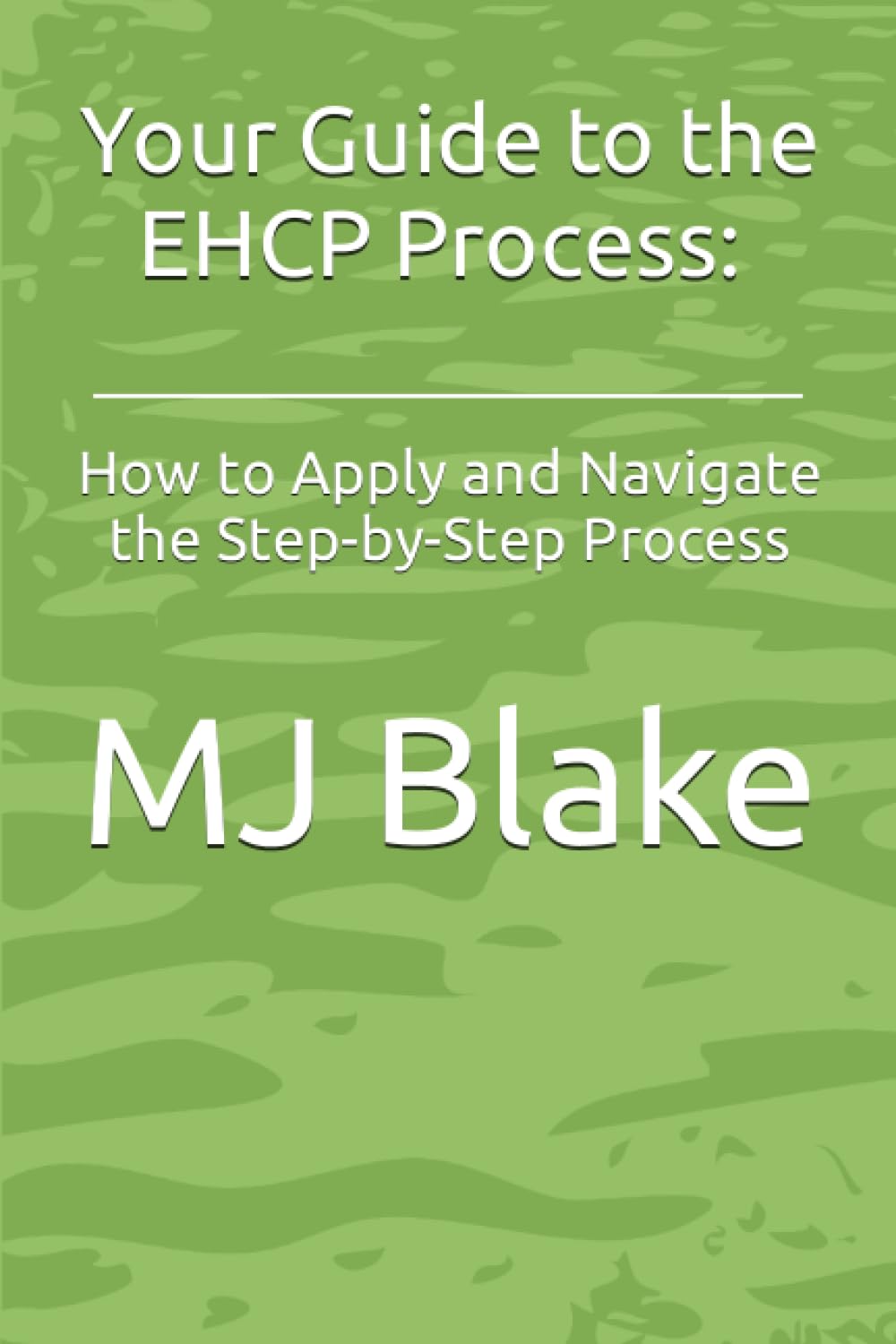 Your Guide to the EHCP Process: How to Apply and Navigate the Step-by-Step Process: 4 (SEND Resources)