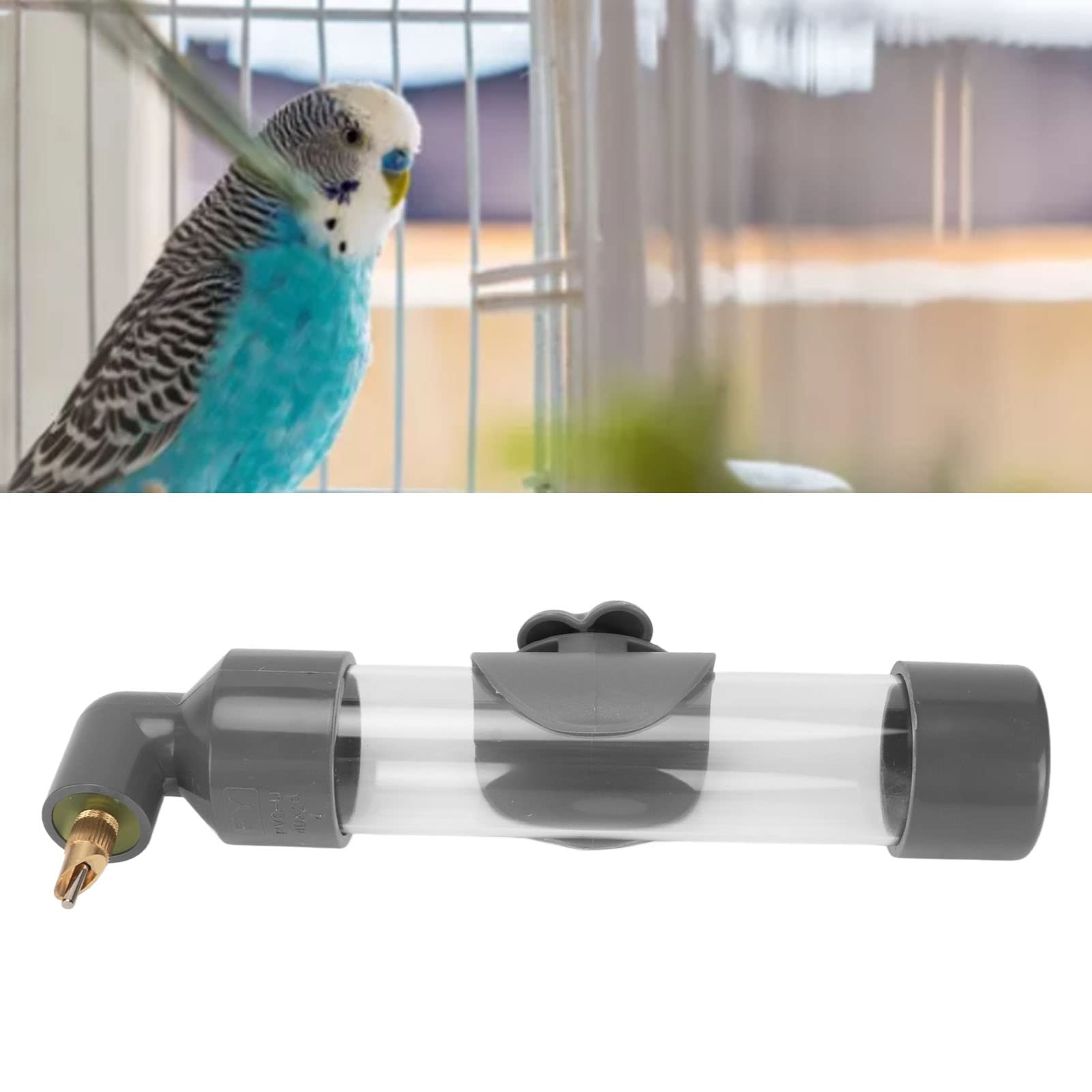 Abbeveratoio Automatico per Pappagalli, Beccuccio per Massaggiagengive in Acrilico, Beverino per Uccelli di Grande capacità per Piccoli Pappagalli Medi per Accessori per Gabbie per Uccelli (Grigio)