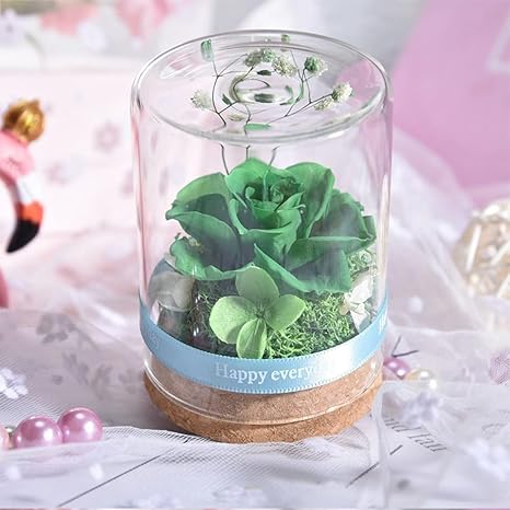 Amazon Iwailoft 当店人気no1 Mini プリザーブドフラワー ギフト バラ プレゼント 枯れないお花のアレンジ 誕生日プレゼント お祝い 発表会 贈り物に ガラスドーム 母の日 彼女 妻 プレゼント 誕生日 結婚祝い フラワー インテリア 縁起物 グリーン プリザーブド