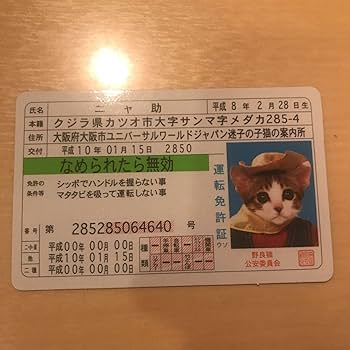 Amazon.co.jp: なめ猫 免許証廃番品プレミア : ペット用品