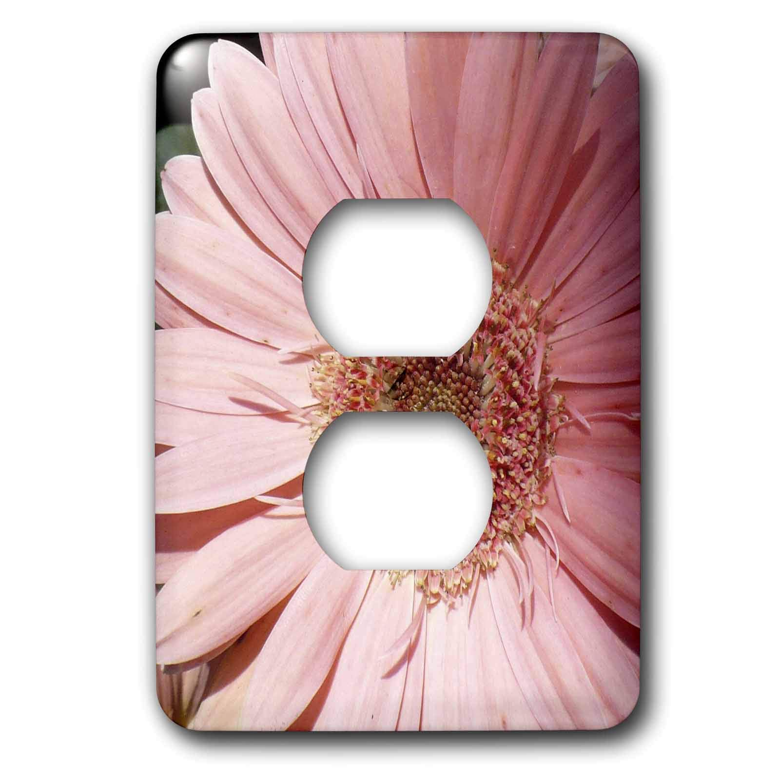 Rose Gerbera double prise de courant 15,2 cm plaque murale decorative 3dRose LSP_7497_1