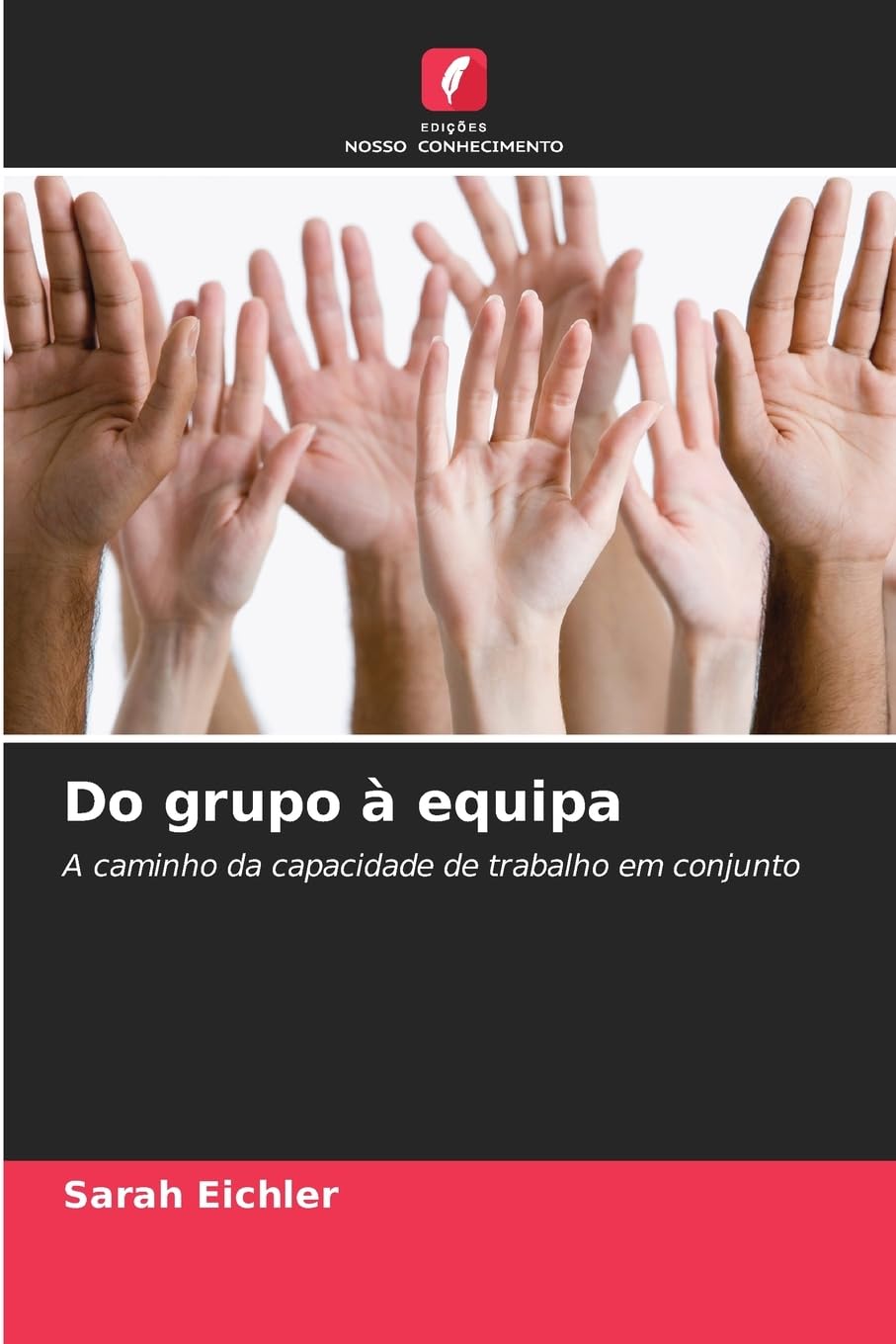 Do grupo à equipa: A caminho da capacidade de trabalho em conjunto
