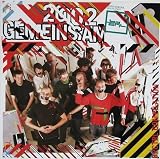Gemeinsam (Vinyl)