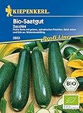 Kiepenkerl Zucchini Dundoo BIO