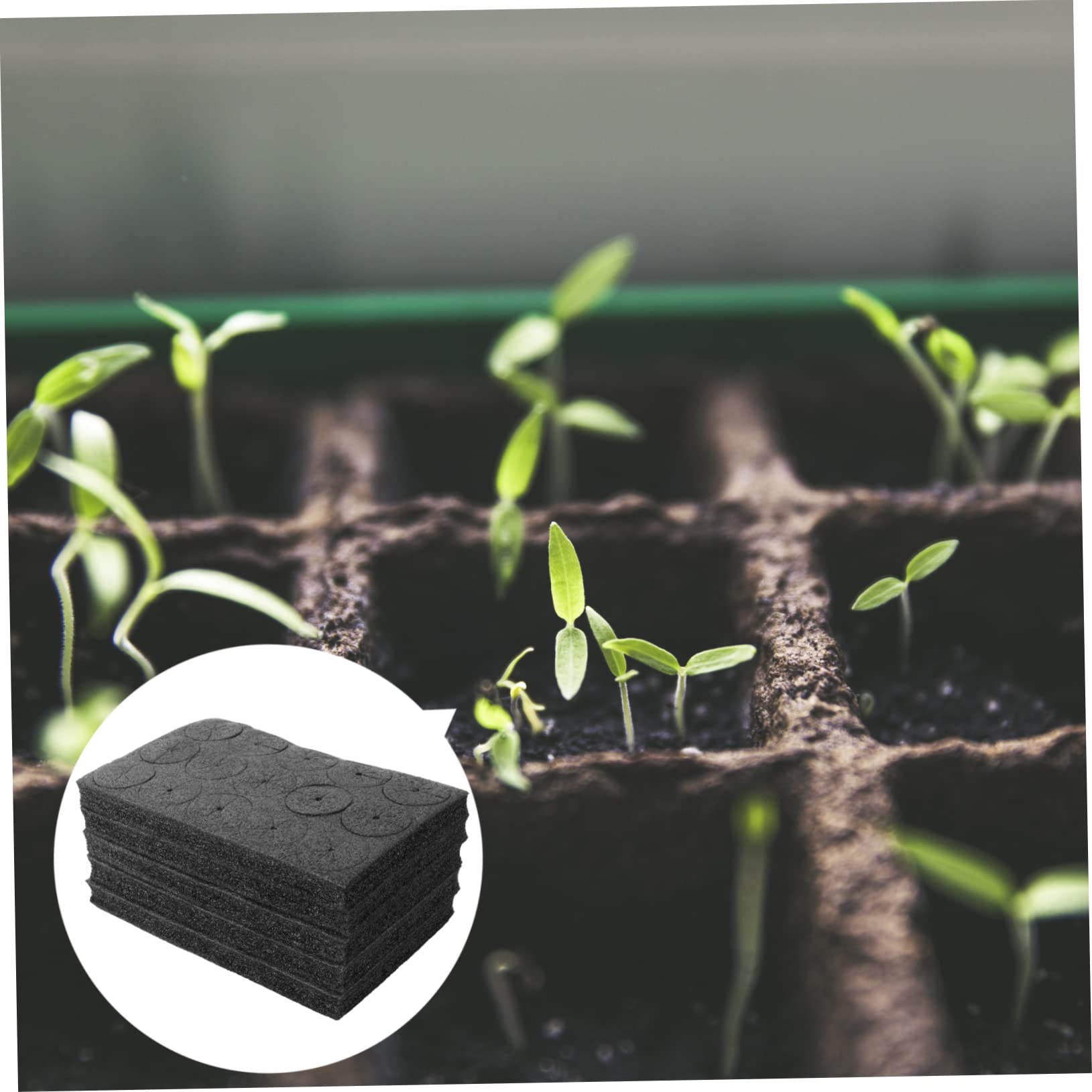 ifundom 2 Series Esponjas Hidropónicas Vegetal De Jardinería Sin Herramienta Conveniente 75 Piezas*2