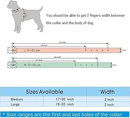 Miniatura 6 de Collar de perro con tachuelas, remaches de hongos, collar de cuero con tachuelas para perros medianos y grandes, collar de pastor alemán ajustable