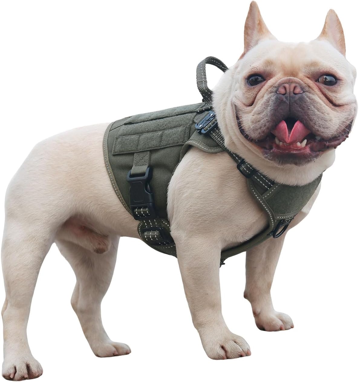 ICEFANG GN1 Reflective Tactical Dog Harness Small Sized, MOLLE K9 Dog Vest with 2X Metal Buckles,Adjustable Pet Harness, No Pulling Front Leash Clip (Small (Pack of 1), Green) Small (Pack of 1) Green