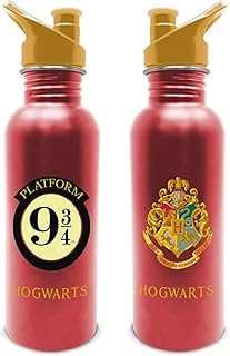 Pyramid International HARRY POTTER - PLATFORM 9 3/4 - (METAL CANTEEN DRINKS BOTTLE)