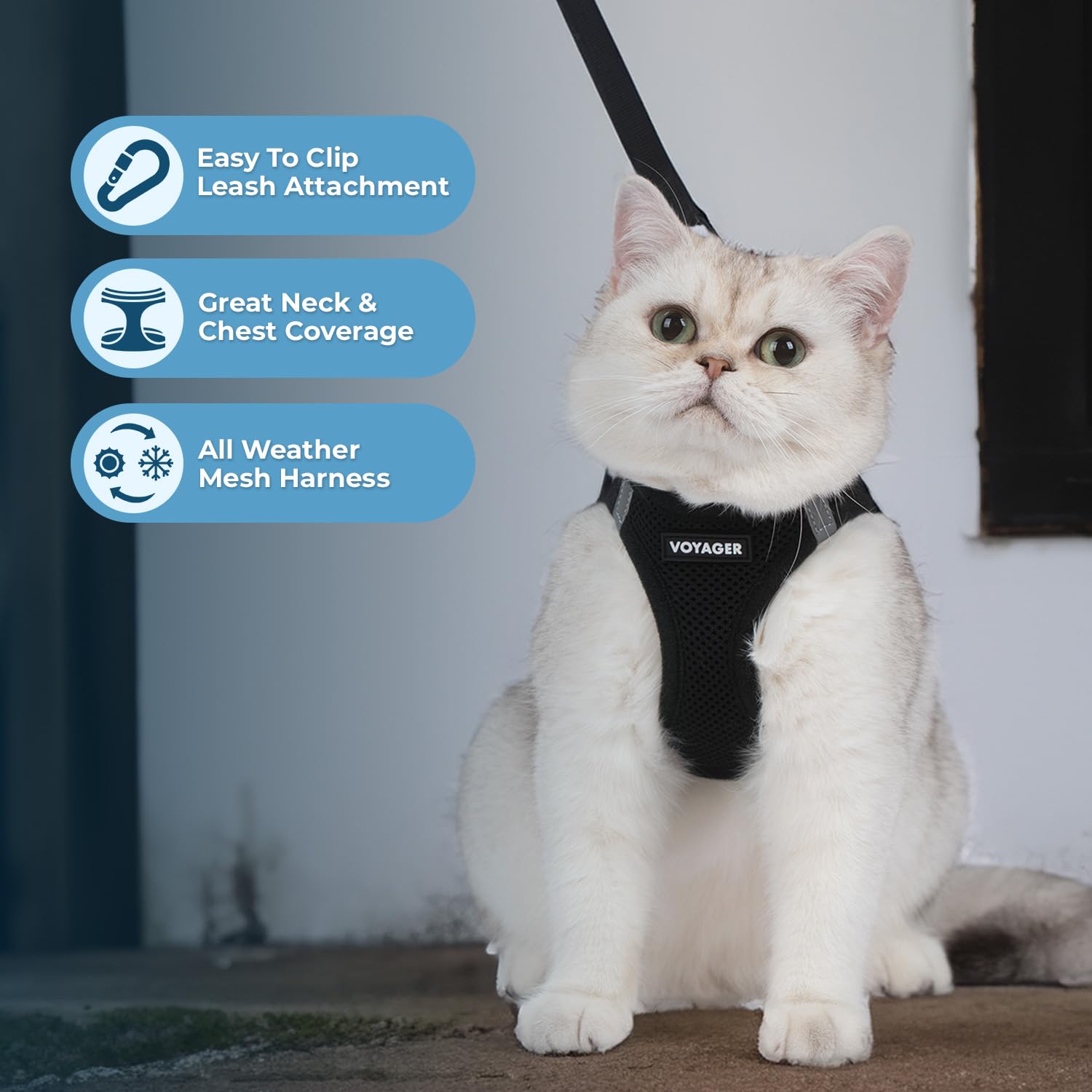 Voyager Escape Proof Cat Harness and Leash Set with Reflective Stitching, Neoprene Handle 5ft - Supports Small, Medium and Large Cats, Kittens for Walking by Best Pet Supplies - Lime, S — view 347