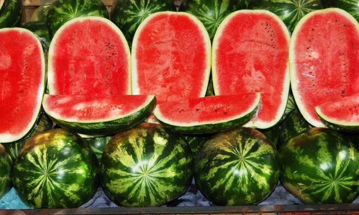SeedsUP Giant Watermelon Astrakhan Seeds - 30+ Heirloom Non-GMO for Massive 25-50 lb Ultra-Sweet Fruits