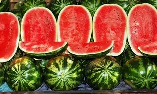 SeedsUP Giant Watermelon Astrakhan Seeds - 30+ Heirloom Non-GMO for Massive 25-50 lb Ultra-Sweet Fruits