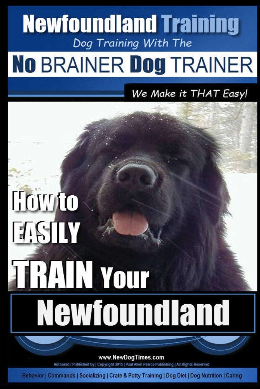 Newfoundland Training | Dog Training with the No BRAINER DogTRAINER ~ We Make it THAT Easy!: How to EASILY TRAIN Your Newfoundland: 1
