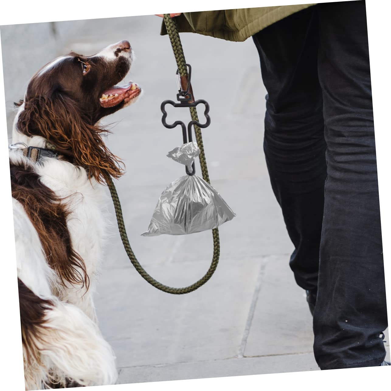 Kisangel 5 Sätze Teiliges Hundekotbeutelhalter Tragbare Clips Zur Befestigung Von Kotbeuteln Einfache Handhabung Für Stressfreies Gassigehen Schwarz 10 Stück * 5