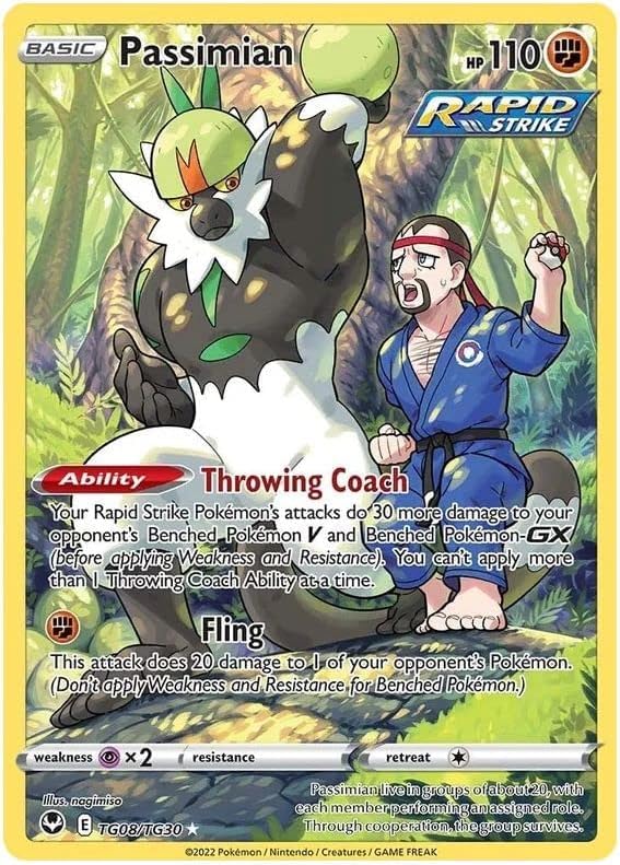 Passimian TG08/TG30 Rare Holo Pokemon Card (Silver Tempest Trainer Gallery)