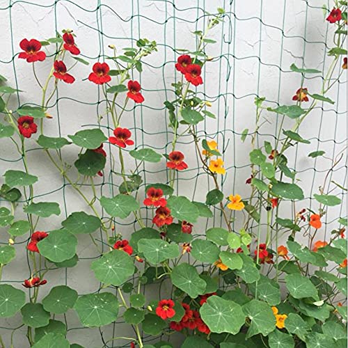 (6' X 12'Ft,4" Mesh Size) Trellis Netting For Climbing Plants Durable And Reusable Heavy-Duty Plant Climbing Net Outdoor For Cucumber, Tomato And More #TOP6