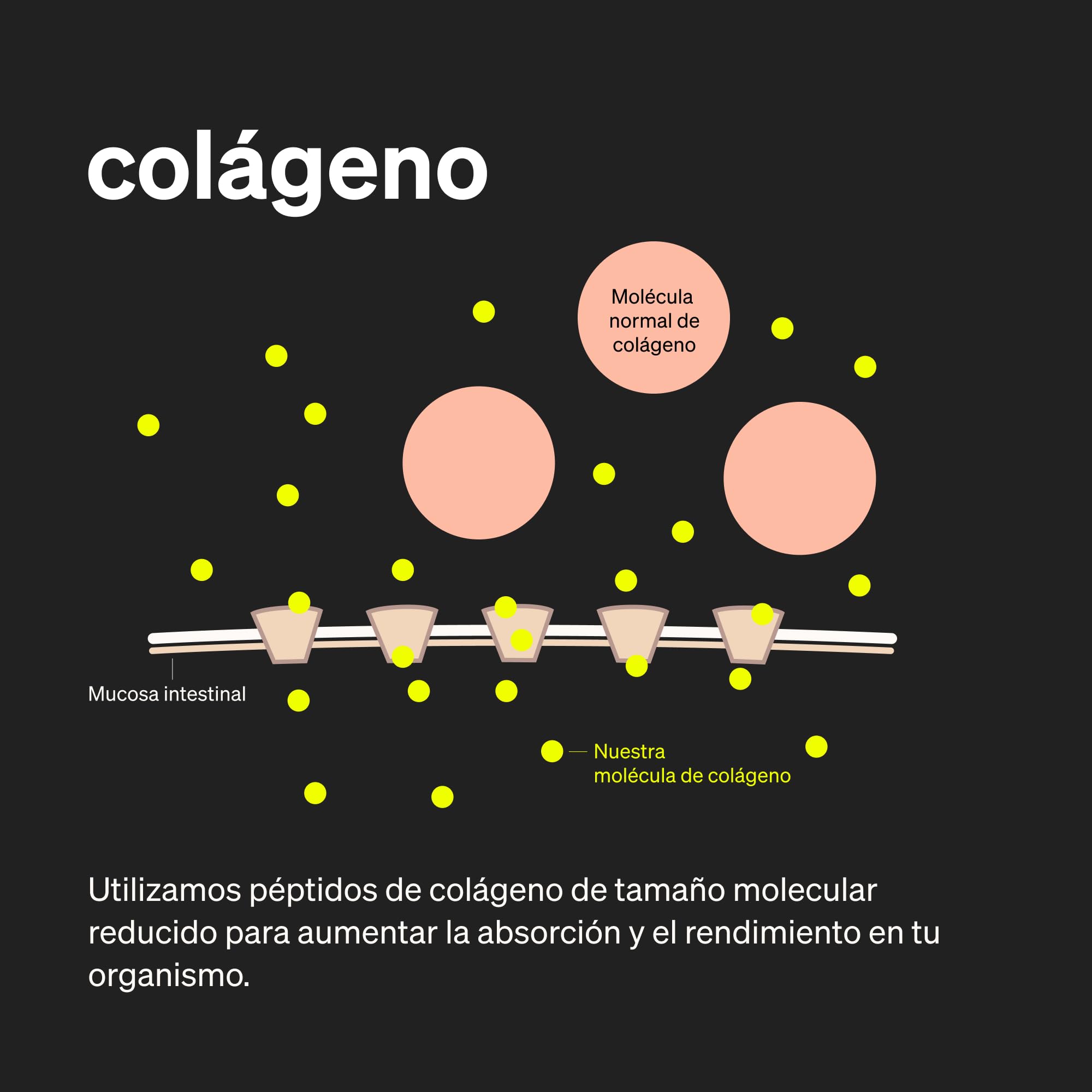 Colágeno + Ácido hialurónico - 180 Cápsulas - Con biotina, selenio, zinc, silicio y vitamina C (Acerola) - Para la piel, el cabello y articulaciones - 1000mg de colágeno hidrolizado