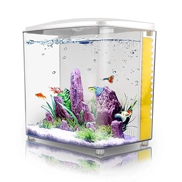 1.2Gallon Betta Aquarium Starter Kits Square Fish Tank with LED Light and Filter Pump